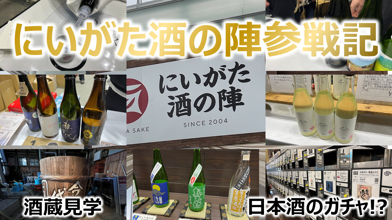 にいがた酒の陣2024 3/9 10時 Bチケット2枚 興味深